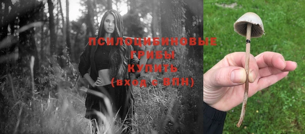 прущие крисы Балахна