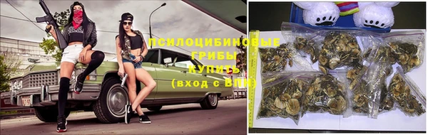 ГАЛЛЮЦИНОГЕННЫЕ ГРИБЫ Балабаново