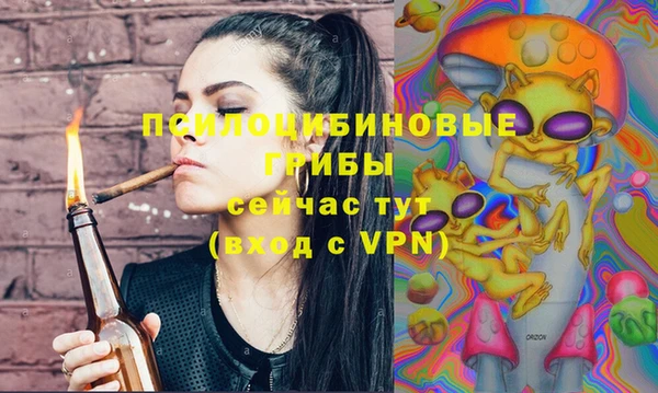 прущие крисы Балахна