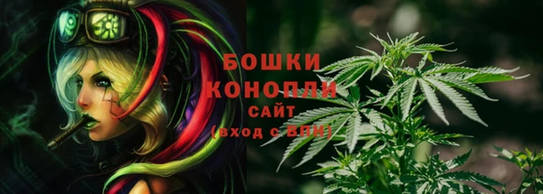 прущие крисы Балахна