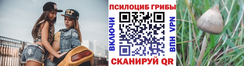 Галлюциногенные грибы прущие грибы  Никольское 